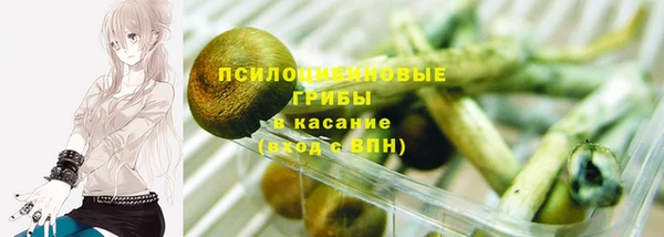 наркотики Белокуриха